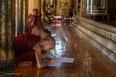 20191122__00289-50 Monastere de Shwe Yan Pyay, novices au travail